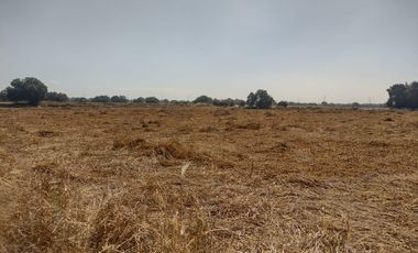 TERRENO LA BARRANCA LOS REYES ACOZAC SUP 43157