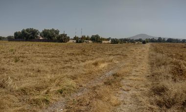 TERRENO LA BARRANCA LOS REYES ACOZAC SUP 43157