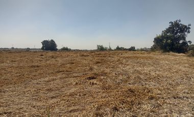 TERRENO LA BARRANCA LOS REYES ACOZAC SUP 43157