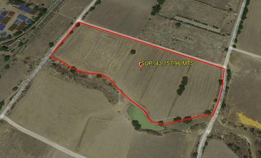 TERRENO LA BARRANCA LOS REYES ACOZAC SUP 43157