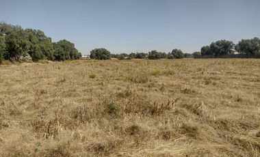 TERRENO LA BARRANCA LOS REYES ACOZAC SUP 43157