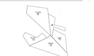 TERRENO EN VENTA , ENCINILLAS EL RUANO, POLOTITLAN, EDO. MEX.  Sup. 45.08 HAS