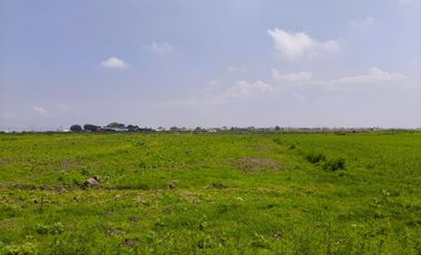 TERRENO EN VENTA  SAN MIGUEL XALTOCAN NEXTLALPAN, EDO.MEX sup 6,237 m2