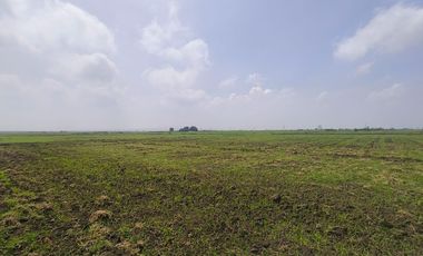 TERRENO EN VENTA  SAN MIGUEL XALTOCAN NEXTLALPAN, EDO.MEX sup 6,237 m2