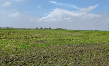 TERRENO EN VENTA  SAN MIGUEL XALTOCAN NEXTLALPAN, EDO.MEX sup 6,237 m2