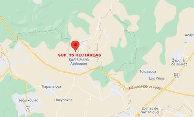 TERRENO TOLCAYUCAN HIDALGO SUP. 35 HECTÁREAS