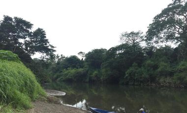 Venta de Finca en El Mangal, Medellín de Bravo, Veracruz