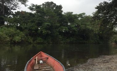 Venta de Finca en El Mangal, Medellín de Bravo, Veracruz