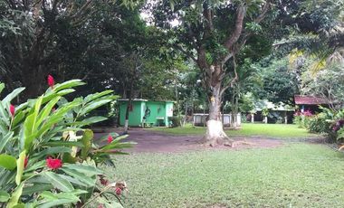 Venta de Finca en El Mangal, Medellín de Bravo, Veracruz
