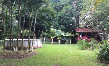 Venta de Finca en El Mangal, Medellín de Bravo, Veracruz