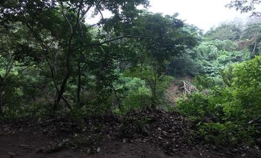 Venta de Finca en El Mangal, Medellín de Bravo, Veracruz