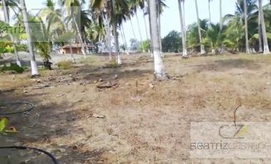 TERRENO EN VENTA PLAYA LARGA ZIHUATANEJO, ZIHUATANEJO