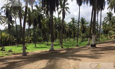 TERRENO EN VENTA PLAYA LARGA ZIHUATANEJO, ZIHUATANEJO