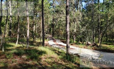 Terreno - Huasca de Ocampo