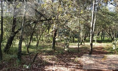 Terreno - Huasca de Ocampo