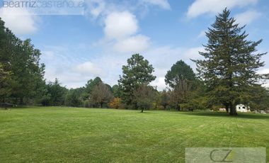 TERRENO EN QUINTA ANDREA, HUASCA, HGO.