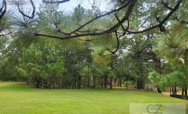 TERRENO EN QUINTA ANDREA, HUASCA, HGO.