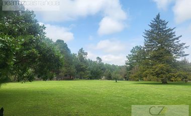 TERRENO EN QUINTA ANDREA, HUASCA, HGO.