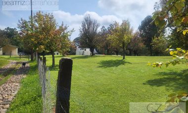TERRENO EN QUINTA ANDREA, HUASCA, HGO.