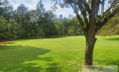 TERRENO EN QUINTA ANDREA, HUASCA, HGO.
