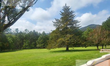 TERRENO EN QUINTA ANDREA, HUASCA, HGO.
