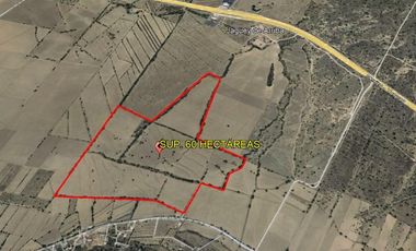 Terreno en Villa de Tezontepec, Hidalgo. Sup. 60 Hectáreas.