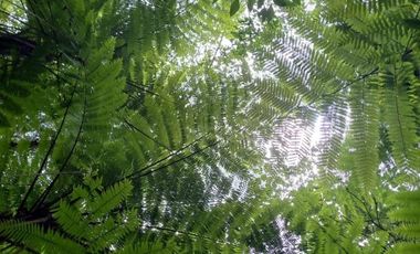 Terreno en venta en la zona de Jalacingo, Veracruz por Teziutlán