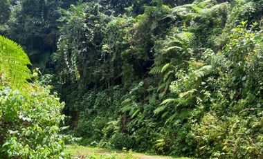 Terreno en venta en la zona de Jalacingo, Veracruz por Teziutlán