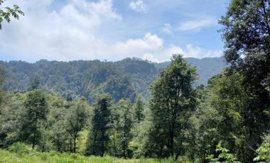 Terreno en venta en la zona de Jalacingo, Veracruz por Teziutlán