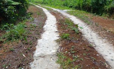 Terreno en venta en la zona de Jalacingo, Veracruz por Teziutlán
