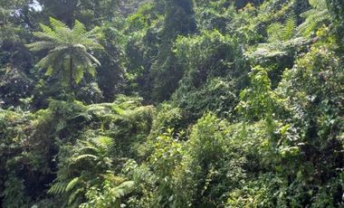 Terreno en venta en la zona de Jalacingo, Veracruz por Teziutlán