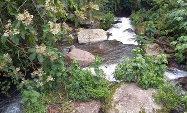 Terreno en venta en la zona de Jalacingo, Veracruz por Teziutlán