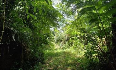 Terreno en venta en la zona de Jalacingo, Veracruz por Teziutlán