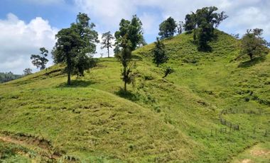 Terreno en venta en la zona de Jalacingo, Veracruz por Teziutlán