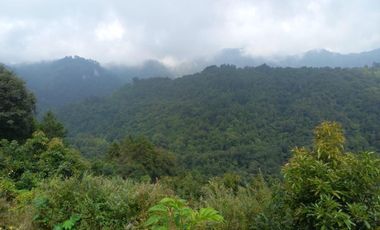 Terreno en venta en la zona de Jalacingo, Veracruz por Teziutlán