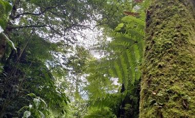 Terreno en venta en la zona de Jalacingo, Veracruz por Teziutlán