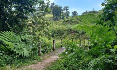 Terreno en venta en la zona de Jalacingo, Veracruz por Teziutlán