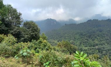 Terreno en venta en la zona de Jalacingo, Veracruz por Teziutlán