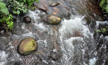 Terreno en venta en la zona de Jalacingo, Veracruz por Teziutlán