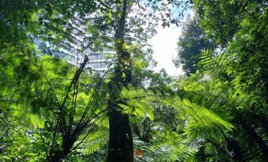 Terreno en venta en la zona de Jalacingo, Veracruz por Teziutlán