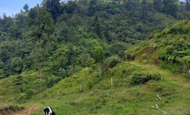 Terreno en venta en la zona de Jalacingo, Veracruz por Teziutlán