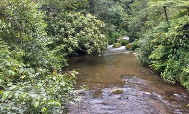 Terreno en venta en la zona de Jalacingo, Veracruz por Teziutlán