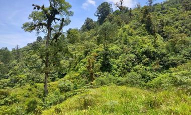 Terreno en venta en la zona de Jalacingo, Veracruz por Teziutlán