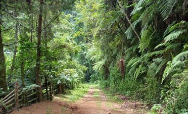 Terreno en venta en la zona de Jalacingo, Veracruz por Teziutlán