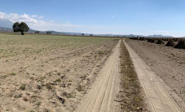 Venta de Terreno Municipio Chalchicomula