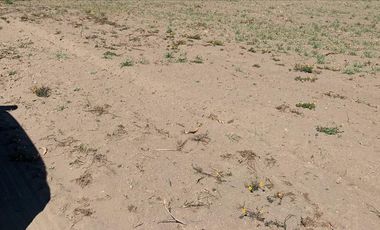 Venta de Terreno Municipio Chalchicomula