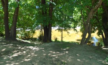 00077-Excelente cabaña Frente al Rio Panaholma! para 4 personas