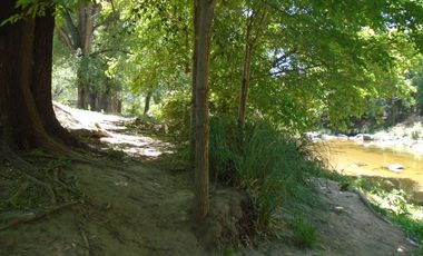 00077-Excelente cabaña Frente al Rio Panaholma! para 4 personas