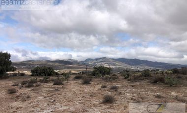 TERRENO RUSTICO EN VENTA, SAN AGUSTIN TLAXIACA, HGO.