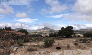 TERRENO RUSTICO EN VENTA, SAN AGUSTIN TLAXIACA, HGO.